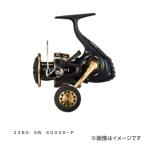  Daiwa 23 BG SW 6000D-P