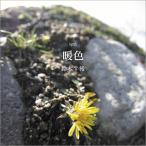 . сборник . цвет | Suzuki корова после 