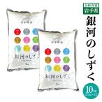 米 白米 送料無料 岩手県 令和6年産 銀河のしずく 10kg【5kg×2袋】 期日指定不可