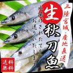 Yahoo! Yahoo!ショッピング(ヤフー ショッピング)【送料無料】「女川」より産地直送！ピッチピチ獲れたて20尾！三陸の秋味生さんま【配送日指定不可】※水揚げがない場合はキャンセルとさせていただきます