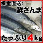 秋刀魚 北海道 さんま とろサンマ 約４kg 40〜42尾 １尾97g前後 根室産 お刺身にできる