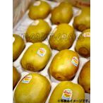 大人気　ゼスプリゴールドキウイ20玉入　甘くてジューシー喜ばれる　ニュージーランド産　贈り物　ギフト ...