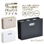  документы регулировка место хранения регулировка целый . заявление принт хранение King Jim независимый перегородка . большая вместимость компактный sak. регулировка! document файл ( открытый модель )