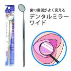  зубной зеркало широкий в общем медицинская помощь оборудование полость рта увеличительное стекло большой зеркало уход за полостью рта защита полости зуб . зуб . человек san . использующий 