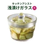 保存容器 漬物容器 ガラス鉢 浅漬け