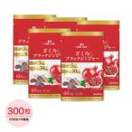 . сырой гранат черный Gin ja- supplement питание функция еда гранат ..e ковер кислота . сырой ...& черный Gin ja-250mg×60 шарик 60 день минут 5 пакет 