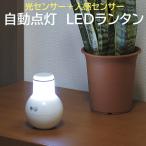 LED фонарь автоматика лампочка-индикатор сенсор свет свет сенсор человек чувство сенсор тип аккумулятора автоматика ощущение лестница . внизу вход аварийное освещение предотвращение бедствий 