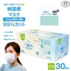 マスク 不織布 立体 日本のせんいメーカーが作った不織布マスク30枚(抗菌加工マスクケース1つ付き)