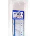  Inoue завод разрезной шкала 50cm CT-050