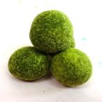  зеленый чай молоко бобы < для бизнеса >500g молния пакет ввод 