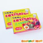 ソラチの札幌スープカレーの素 4食分×2箱セット ゆうパケット 送料無料 送料込み メール便 追跡サービス ポイント消化 お試し