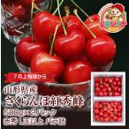 ショッピングさくらんぼ ギフト さくらんぼ 山形県産 紅秀峰 1kg（500g×2P） L玉以上 送料無料 バラ詰