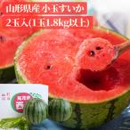 さっぱりとした甘さが特徴!冷蔵庫にも入れやすい!ギフト すいか 送料無料 山形県産 小玉すいか 2玉(1玉1.8kg以上) 西瓜 スイカ