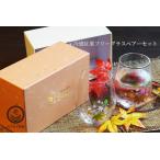 冷感 紅葉 フリーグラス ペア セット 酒器 温度 変化 マジック 感動 ギフト プレゼント 人気 オリジナル ブランド 敬老の日