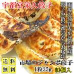 餃子 取り寄せ 冷凍餃子 宇都宮栄久餃子 市場のジャンボ餃子 30個 1粒35ｇ 送料無料