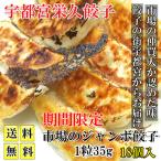 餃子 取り寄せ 冷凍餃子 市場のジャ