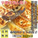 ショッピング餃子 餃子 取り寄せ 冷凍餃子 市場のジャンボ餃子 30個×3 1粒35ｇ 送料無料