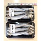 ぷりぷりいわし 12尾（国産） いわ