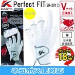 キャスコ Perfct FIT GLOVE SR-2017 左手用ゴルフグローブ 日本正規品