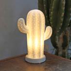 DULTON Dulton PORCELAIN CACTUS LIGHT MAT WHITE фарфор kakta скользящий кактус лампа освещение лампа .