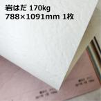  скала. .170kg 788×1091mm 1 листов | все 10 цвет ..1 выбор цвета фотография фотосъемка товар фотосъемка фон бумага 