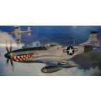 ハセガワ1/48Ｐ-５１Ｄムスタング”コリアン　ウォー１９５１”