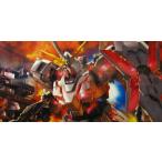 MG 機動戦士ガンダムUC ユニコーンガンダム HDカラー＋MS CAGE