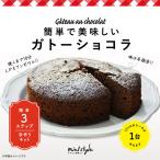  простой . прекрасный тест ..gato- шоколад 