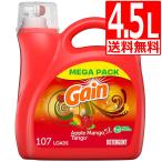 ショッピングマンゴー ゲイン アップルマンゴー タンゴ 液体洗剤 154oz(4.55L) 濃縮