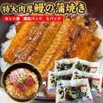 鰻蒲焼カット 100g×5パック うなぎの蒲焼き ひつまぶし ウナギ 鰻 土用の丑 父の日 ギフト 贈答 プレゼント お見舞い 食べきり 真空パック