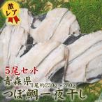 【激レア  旨さ別格】5尾セット 送料無料 つぼ鯛 干物 1尾約230g〜280g 開き干し 一夜干し ツボダイ 干物 つぼだい