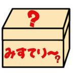 ミステリーおまかせセット 2999円(福袋 ふくぶくろ 詰合せ みすてりー)