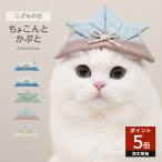  кошка для шляпа .. было использовано день край .. .. для домашних животных головной убор маленький размер кошка S размер костюмированная игра SNS.. память фотосъемка подарок подарок 