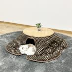  кошка котацу Io li местного производства кипарис материал местного производства futon производство на заказ товар 