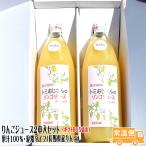 りんごジュース 2本入 送料無料 長野県産 ストレート 果汁100% ギフトボックス入り ギフト プレゼント