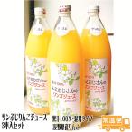 サンふじりんごジュース 混濁タイプ 3本入り 長野県産