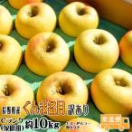 トミおじさんのお店の画像5