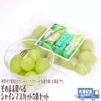 シャリシャリ そのまま食べるシャインマスカット 5袋セット フローズンフルーツ 長野県 信州 ギフト 食べ物 冷凍フルーツ 冷凍果物セット 2025 お中元 お歳暮