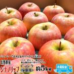 シナノリップ Cランク（家庭用）約５kg （14〜18玉) 長野県産 クール便 送料無料 フルーツ りんご お取り寄せ 8月中旬頃〜下旬頃