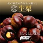生栗 国産 大粒 愛媛県産 栗 皮付き 3L~2L込 約2.5kg クール便代金込 栗 くり クリ 贈答 贈答品 産地直送 送料無料 敬老の日 プレゼント 70代 80 爆買 予約商品