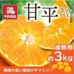 みかん 甘平 かんぺい 進物用・化粧箱 約3kg 愛媛産 送料無料 産地直送 柑橘 フルーツ 果物 予約商品