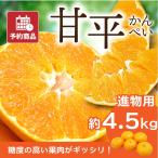 ショッピング果物 みかん 甘平 かんぺい 進物用 約4.5kg 愛媛産 送料無料 産地直送 柑橘 フルーツ 果物 予約商品