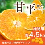 みかん 甘平 かんぺい 進物用 約4.5kg 愛媛産 送料無料 産地直送 柑橘 フルーツ 果物
