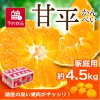 みかん 甘平 かんぺい 家庭用 約4.5kg 愛媛産 送料無料 産地直送 柑橘 フルーツ 果物 予約商品