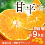 みかん 甘平 かんぺい 家庭用 約9kg 愛媛産 送料無料 産地直送 柑橘 フルーツ 果物
