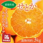 ショッピング果物 みかん せとか 進物用・化粧箱 約3kg 愛媛産 送料無料 産地直送 柑橘 フルーツ 果物 予約商品