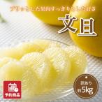ショッピング文旦 みかん 文旦 訳あり 約5kg 愛媛産 送料無料 産地直送 柑橘 フルーツ 果物 予約商品