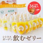 ギフト ゼリー みかん 詰め合わせ シトラスガーデン飲むゼリー 36個入 お中元