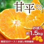 みかん 甘平 かんぺい お試しサイズ 約1.5kg 限定50ケース 愛媛産 送料無料 産地直送 柑橘 フルーツ 果物