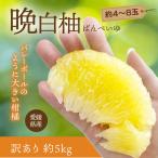  Ehime префектура производство . белый . есть перевод примерно 5kg примерно 4~8 шар Ehime производство бесплатная доставка прямая поставка от производителя .. фрукты фрукты время ограничено ограниченное количество 